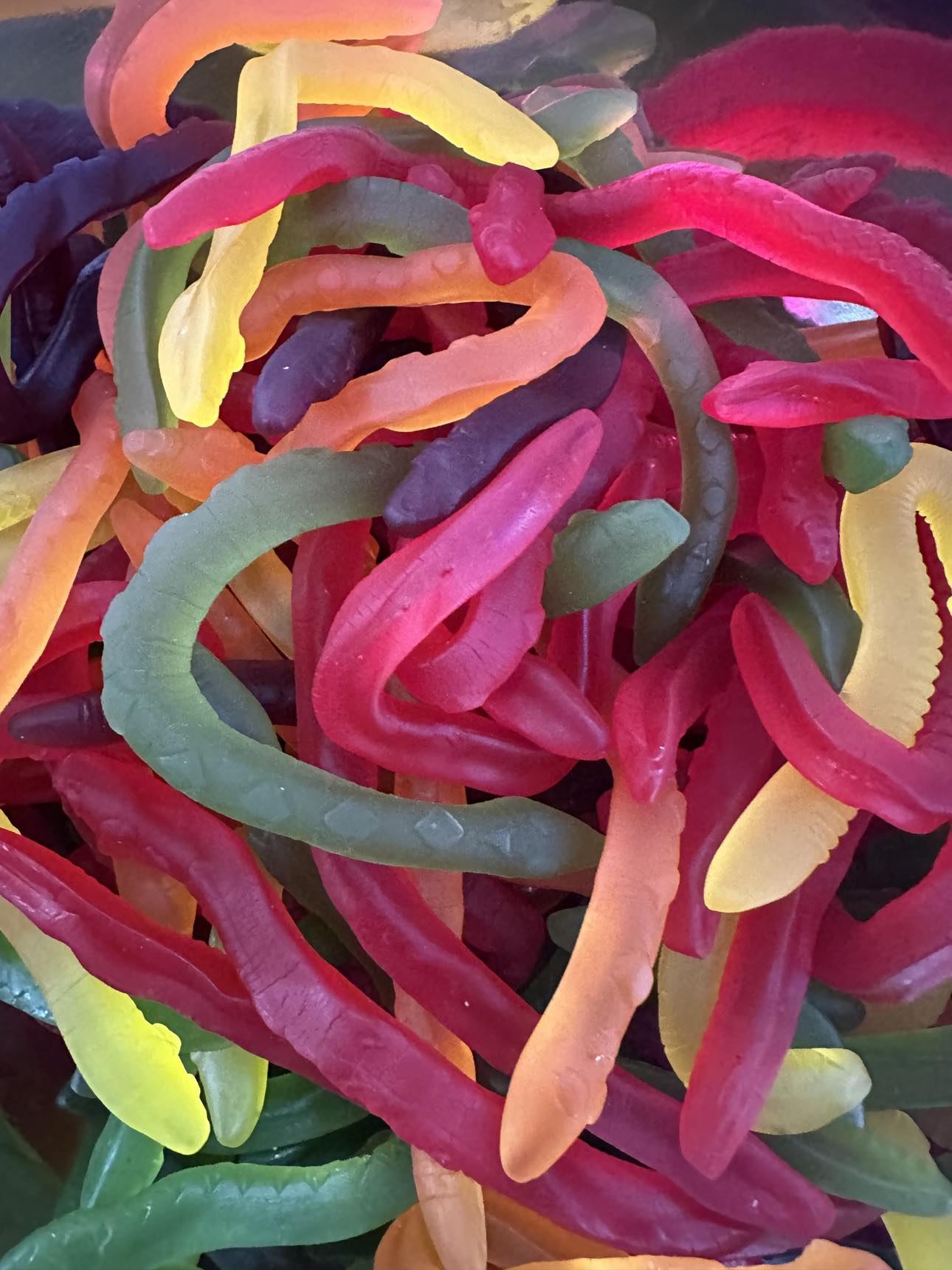 ALLEN'S SNAKES ALIVE