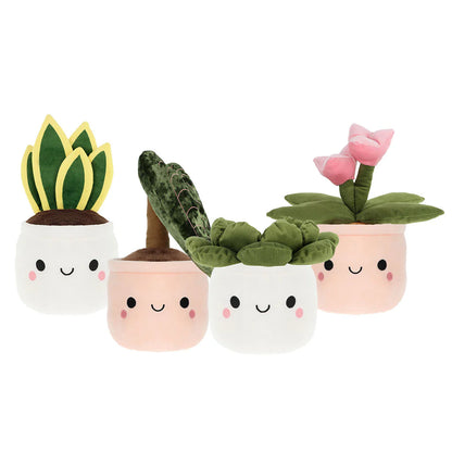 BOBBALLS PLANT 30cm