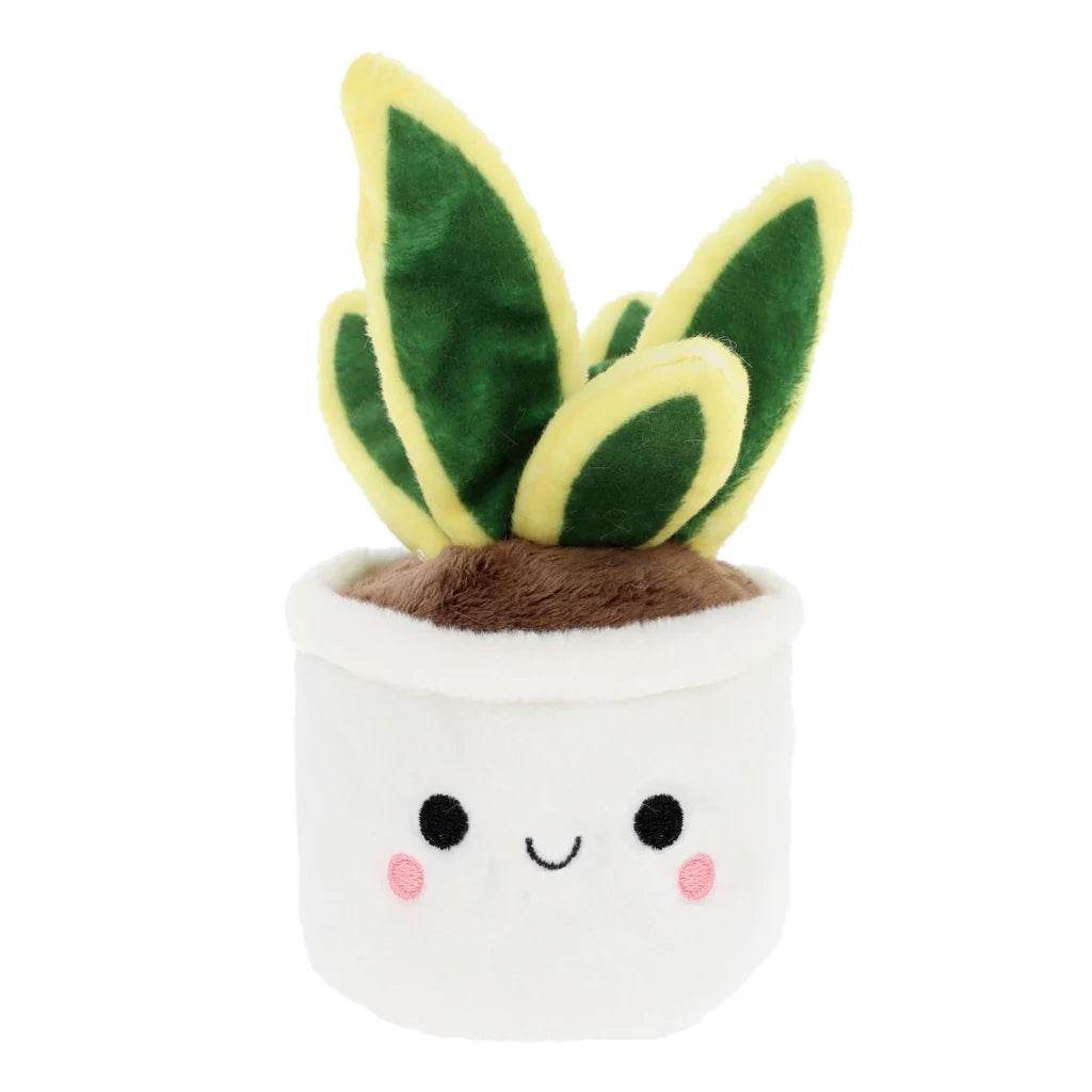 BOBBALLS PLANT 30cm