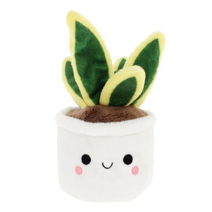 BOBBALLS PLANT 30cm