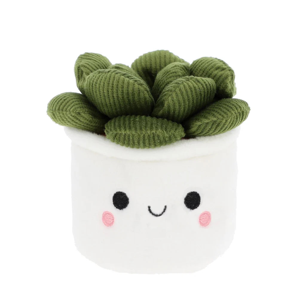 BOBBALLS PLANT 30cm