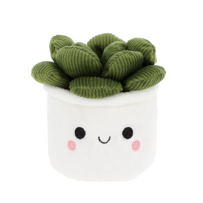 BOBBALLS PLANT 30cm