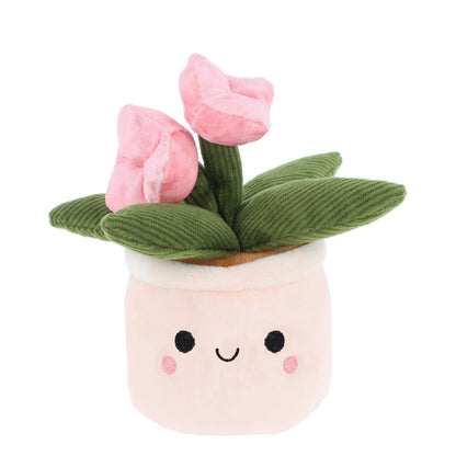 BOBBALLS PLANT 30cm