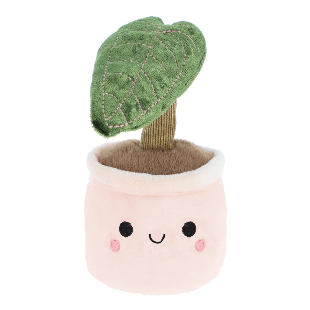 BOBBALLS PLANT 30cm