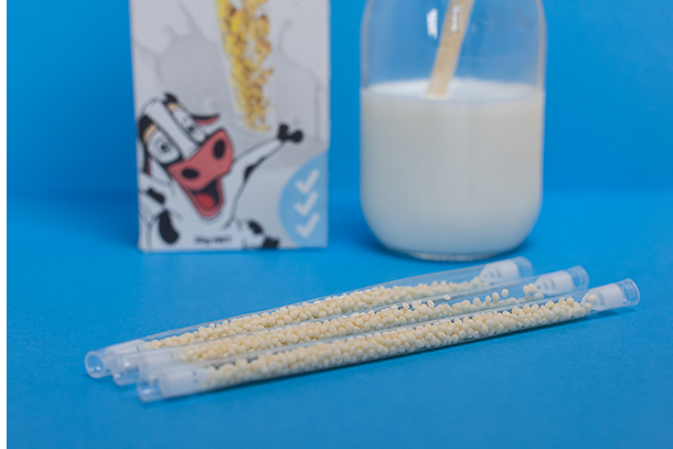 snow white choc