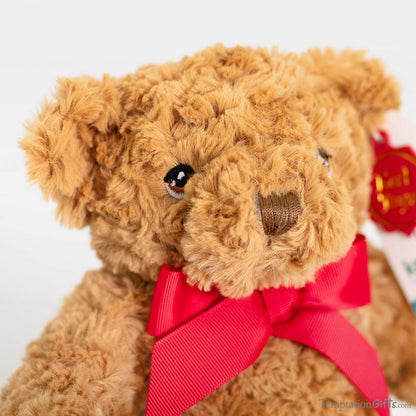 Keeleco Teddy Bear 20cm Soft Toy