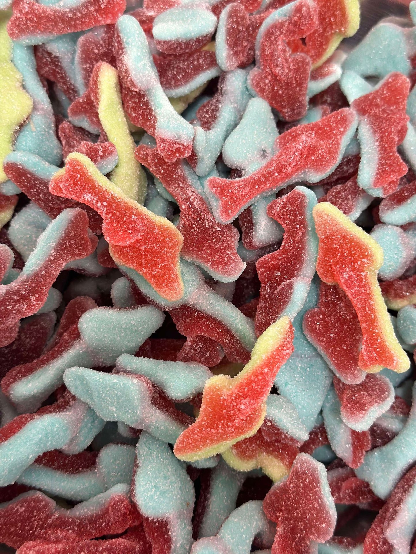 SOUR SHARKS